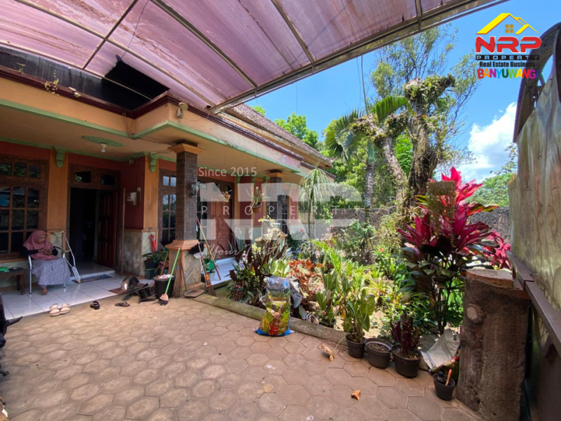Dijual rumah strtegis di kaki gunung ijen , Licin - Banyuwangi  Dijual rumah strtegis di kaki gunung ijen , Licin - Banyuwangi  BEST SALE HOUSE IN HILLSIDE IJEN CRATER BANYUWANGI.&nbsp;
Berada dikawasan perhotelan dan homestay tamansari.&nbsp;
Lokasi sangat strategis, belakang NRP BANYUWANGI