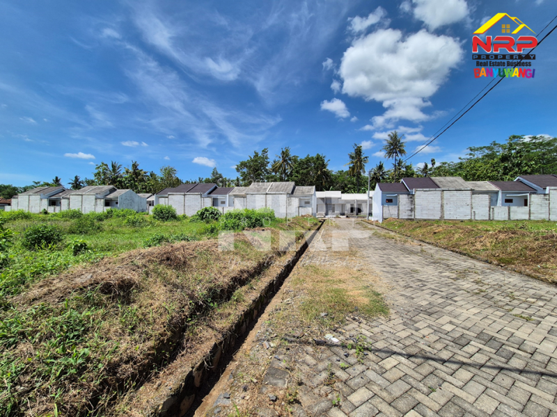 Dijual Rumah Subsidi DP 1 Jutaan Saja di Blimbingsari - Banyuwangi  Dijual Rumah Subsidi DP 1 Jutaan Saja di Blimbingsari - Banyuwangi  Dijual Rumah Subsidi DP 1 Jutaan Saja di Blimbingsari - Banyuwangi&nbsp;
Perumahan Strategis One Get Sistem, Dekat dengan Bandara Blimbingsari NRP BANYUWANGI