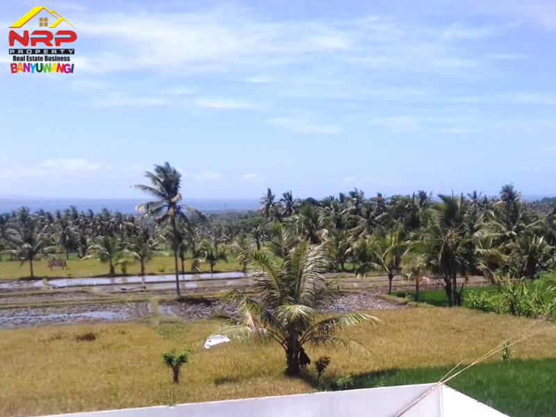 Dijual Sawah Produktif di Desa Grogol Banyuwangi  Dijual Sawah Produktif di Desa Grogol Banyuwangi  Dijual Sawah Produktif di Desa Grogol Banyuwangi&nbsp;
Irigasi lancar Cocok untuk usaha pertanian atau investasi jangka panjang&nbsp;
&nbsp;
Luas Tanah : NRP BANYUWANGI