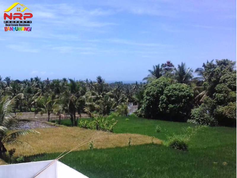 Dijual Sawah Produktif di Desa Grogol Banyuwangi  Dijual Sawah Produktif di Desa Grogol Banyuwangi  Dijual Sawah Produktif di Desa Grogol Banyuwangi&nbsp;
Irigasi lancar Cocok untuk usaha pertanian atau investasi jangka panjang&nbsp;
&nbsp;
Luas Tanah : NRP BANYUWANGI
