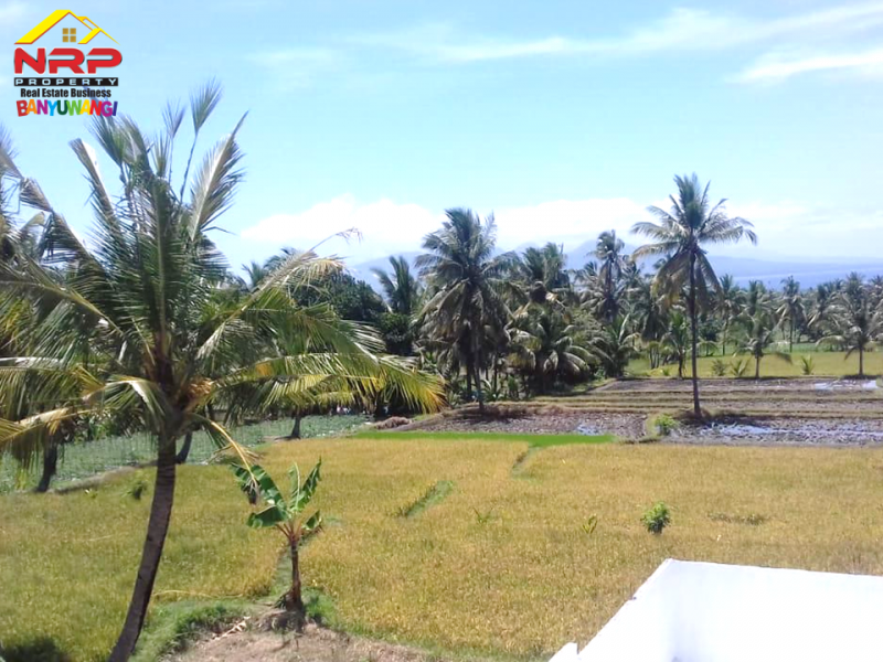 Dijual Sawah Produktif di Desa Grogol Banyuwangi  Dijual Sawah Produktif di Desa Grogol Banyuwangi  Dijual Sawah Produktif di Desa Grogol Banyuwangi&nbsp;
Irigasi lancar Cocok untuk usaha pertanian atau investasi jangka panjang&nbsp;
&nbsp;
Luas Tanah : NRP BANYUWANGI