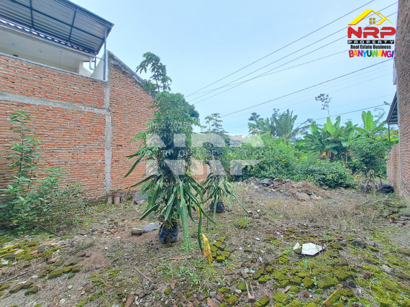 Dijual Tanah 100 Jutaan siap bangun di Dadapan - Banyuwangi  Dijual Tanah 100 Jutaan siap bangun di Dadapan - Banyuwangi  Dijual Tanah 100 Jutaan siap bangun di Dadapan - Banyuwangi&nbsp;
Lokasi Strategis, Nyaman, Sejuk dan Asri. Dekat dengan kawasan wisata Banyuwangi Park
Dekat NRP BANYUWANGI