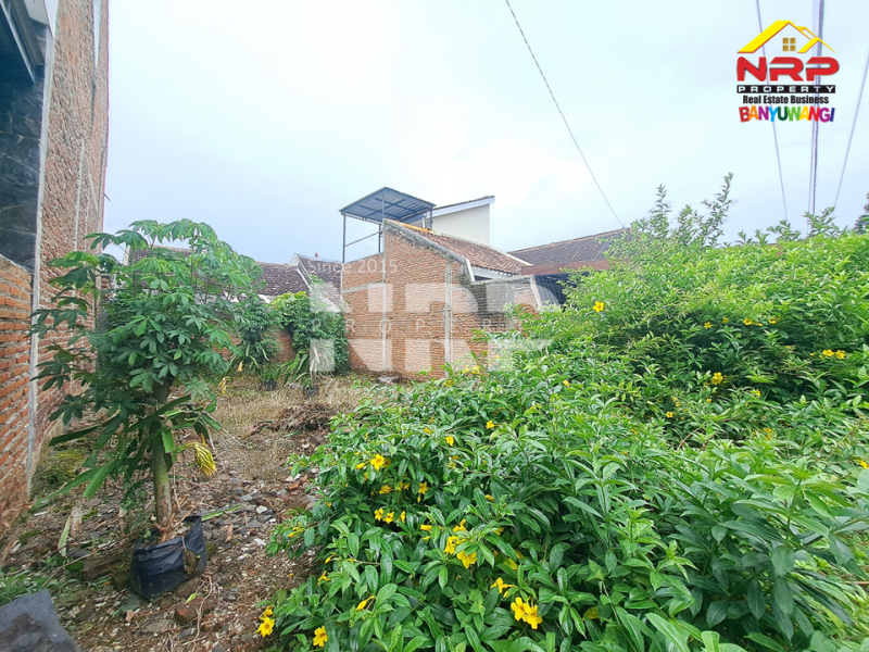 Dijual Tanah 100 Jutaan siap bangun di Dadapan - Banyuwangi  Dijual Tanah 100 Jutaan siap bangun di Dadapan - Banyuwangi  Dijual Tanah 100 Jutaan siap bangun di Dadapan - Banyuwangi&nbsp;
Lokasi Strategis, Nyaman, Sejuk dan Asri. Dekat dengan kawasan wisata Banyuwangi Park
Dekat NRP BANYUWANGI