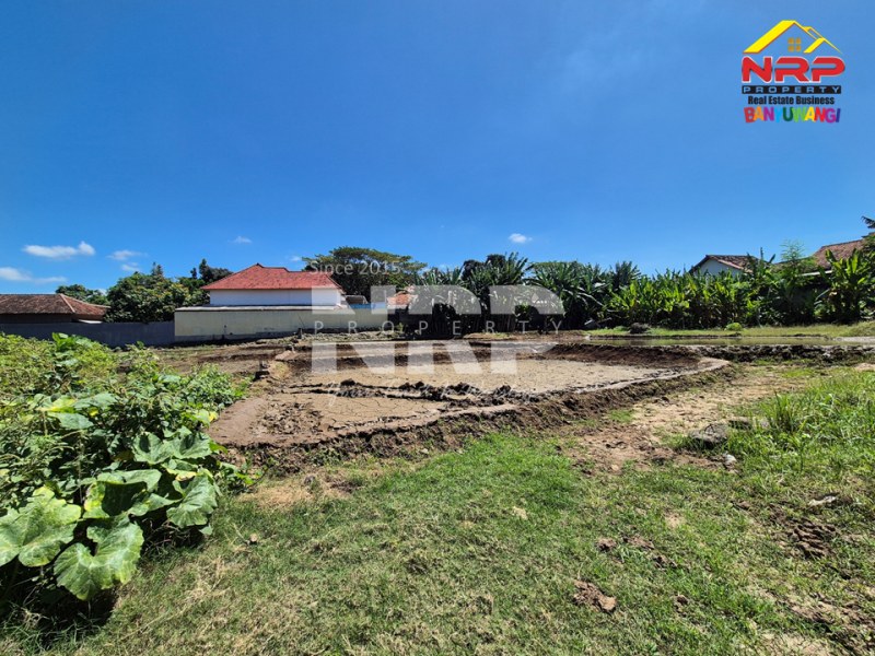 Dijual Tanah 40 meter dari Jl. Tidar, Singotrunan - Banyuwangi  Dijual Tanah 40 meter dari Jl. Tidar, Singotrunan - Banyuwangi  Dijual Tanah 40 meter dari Jl. Tidar, Singotrunan - Banyuwangi&nbsp;
Dekat SMPN 3 Banyuwangi, Dekat dengan kawasan perumahan.&nbsp;
Sudah ada akses NRP BANYUWANGI