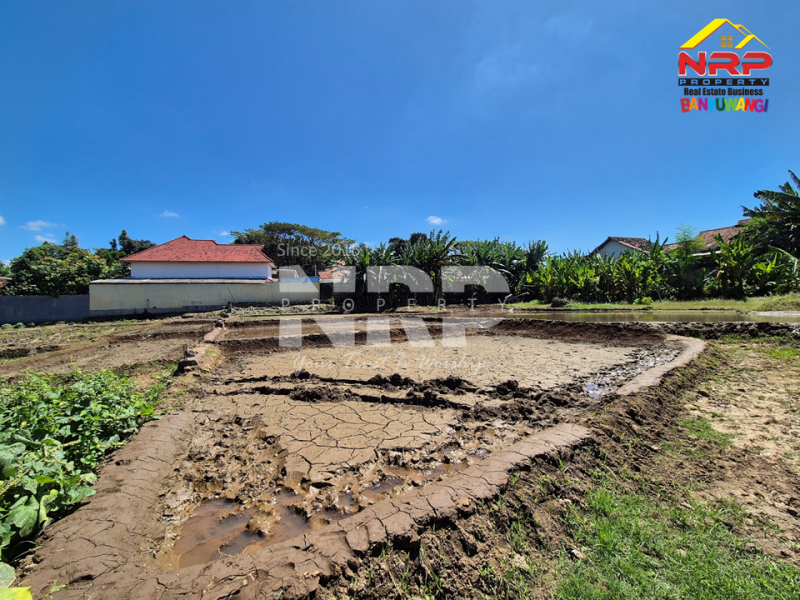 Dijual Tanah 40 meter dari Jl. Tidar, Singotrunan - Banyuwangi  Dijual Tanah 40 meter dari Jl. Tidar, Singotrunan - Banyuwangi  Dijual Tanah 40 meter dari Jl. Tidar, Singotrunan - Banyuwangi&nbsp;
Dekat SMPN 3 Banyuwangi, Dekat dengan kawasan perumahan.&nbsp;
Sudah ada akses NRP BANYUWANGI