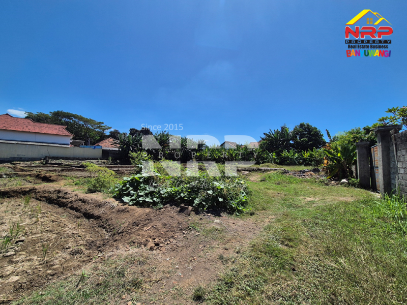 Dijual Tanah 40 meter dari Jl. Tidar, Singotrunan - Banyuwangi  Dijual Tanah 40 meter dari Jl. Tidar, Singotrunan - Banyuwangi  Dijual Tanah 40 meter dari Jl. Tidar, Singotrunan - Banyuwangi&nbsp;
Dekat SMPN 3 Banyuwangi, Dekat dengan kawasan perumahan.&nbsp;
Sudah ada akses NRP BANYUWANGI