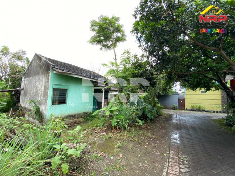 Dijual Tanah + bangunan bonus di Gurit Rogojampi. Lokasi strategis, siap jadi karya baru untuk masa depanmu. Dijual Tanah + bangunan bonus di Gurit Rogojampi. Lokasi strategis, siap jadi karya baru untuk masa depanmu. Dijual Tanah + bangunan bonus di Gurit Rogojampi. Lokasi strategis, siap jadi karya baru untuk masa depanmu.
Berada dikawasan perumahan, 500 meter dari SMAN 1 NRP BANYUWANGI