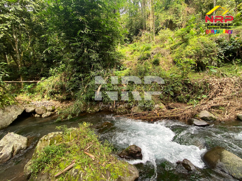 Dijual Tanah berada di sisi sungai kalibendo - Banyuwangi  Jual tanah murah tepi sungai Kalibendo Licin Banyuwangi  Dijual Tanah berada di sisi sungai kalibendo - Banyuwangi&nbsp;
Akses tanah pinggir jalan menyebrangi sungai, dekat dengan kawasan perkebunan NRP BANYUWANGI