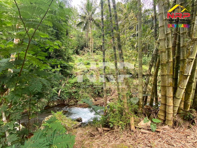 Dijual Tanah berada di sisi sungai kalibendo - Banyuwangi  Jual tanah murah tepi sungai Kalibendo Licin Banyuwangi  Dijual Tanah berada di sisi sungai kalibendo - Banyuwangi&nbsp;
Akses tanah pinggir jalan menyebrangi sungai, dekat dengan kawasan perkebunan NRP BANYUWANGI