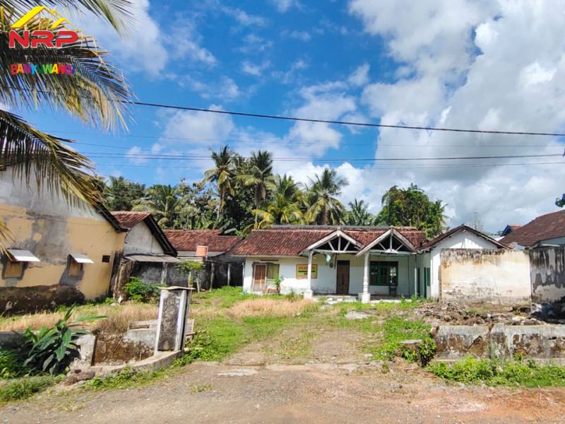 Dijual Tanah Bonus Bangunan 100 Meter dari Jl. Srono - Banyuwangi  Dijual Tanah Bonus Bangunan 100 Meter dari Jl. Srono - Banyuwangi  Dijual Tanah Bonus Bangunan 100 Meter dari Jl. Srono - Banyuwangi&nbsp;
Dekat Dengan Fasilitas Pendidikan, Pusat Perbelanjaan dan Pasar Srono.
Sangat cocok NRP BANYUWANGI