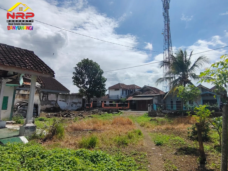 Dijual Tanah Bonus Bangunan 100 Meter dari Jl. Srono - Banyuwangi  Dijual Tanah Bonus Bangunan 100 Meter dari Jl. Srono - Banyuwangi  Dijual Tanah Bonus Bangunan 100 Meter dari Jl. Srono - Banyuwangi&nbsp;
Dekat Dengan Fasilitas Pendidikan, Pusat Perbelanjaan dan Pasar Srono.
Sangat cocok NRP BANYUWANGI