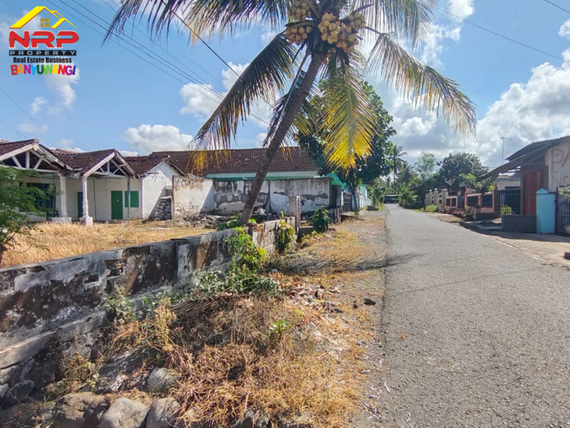 Dijual Tanah Bonus Bangunan 100 Meter dari Jl. Srono - Banyuwangi  Dijual Tanah Bonus Bangunan 100 Meter dari Jl. Srono - Banyuwangi  Dijual Tanah Bonus Bangunan 100 Meter dari Jl. Srono - Banyuwangi&nbsp;
Dekat Dengan Fasilitas Pendidikan, Pusat Perbelanjaan dan Pasar Srono.
Sangat cocok NRP BANYUWANGI