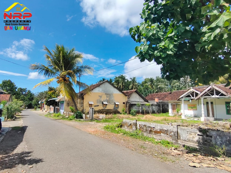 Dijual Tanah Bonus Bangunan 100 Meter dari Jl. Srono - Banyuwangi  Dijual Tanah Bonus Bangunan 100 Meter dari Jl. Srono - Banyuwangi  Dijual Tanah Bonus Bangunan 100 Meter dari Jl. Srono - Banyuwangi&nbsp;
Dekat Dengan Fasilitas Pendidikan, Pusat Perbelanjaan dan Pasar Srono.
Sangat cocok NRP BANYUWANGI