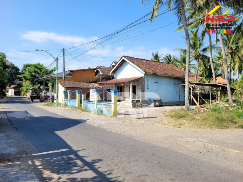Dijual Tanah Bonus Bangunan di Blimbingsari - Banyuwangi  Dijual Tanah Bonus Bangunan di Blimbingsari - Banyuwangi  Dijual Tanah Bonus Bangunan di Blimbingsari - Banyuwangi&nbsp;
Depan Sekolah Pilot Banyuwangi, Dekat&nbsp; bandara.&nbsp;
Cocok untuk hunian pribadi atau NRP BANYUWANGI
