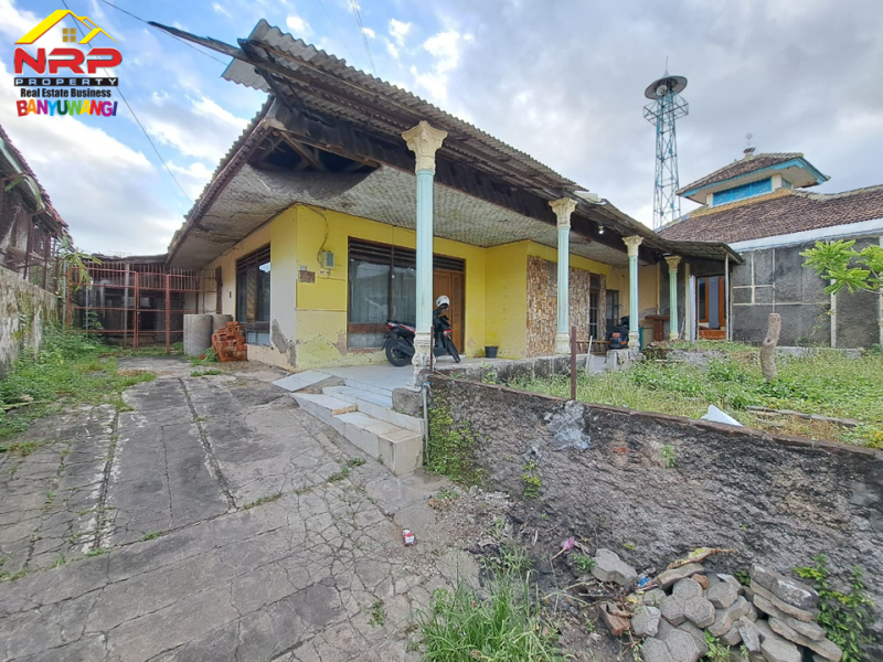 Dijual Tanah Bonus Bangunan di Jalan Serayu - Banyuwangi  Dijual Tanah Bonus Bangunan Strategis di Pusat kota Banyuwangi  Dijual Tanah Bonus Bangunan di Pusat Kota Banyuwangi&nbsp;
Cocok untuk hunian, homestay tengah kota, rumah kos dll.&nbsp;
Lingkungan nyaman, akses roda NRP BANYUWANGI