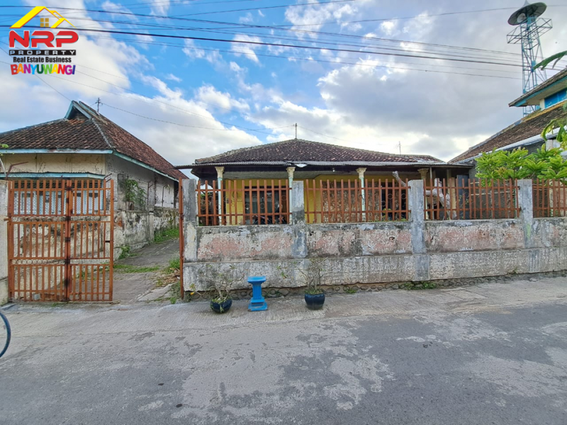Dijual Tanah Bonus Bangunan di Jalan Serayu - Banyuwangi  Dijual Tanah Bonus Bangunan Strategis di Pusat kota Banyuwangi  Dijual Tanah Bonus Bangunan di Pusat Kota Banyuwangi&nbsp;
Cocok untuk hunian, homestay tengah kota, rumah kos dll.&nbsp;
Lingkungan nyaman, akses roda NRP BANYUWANGI