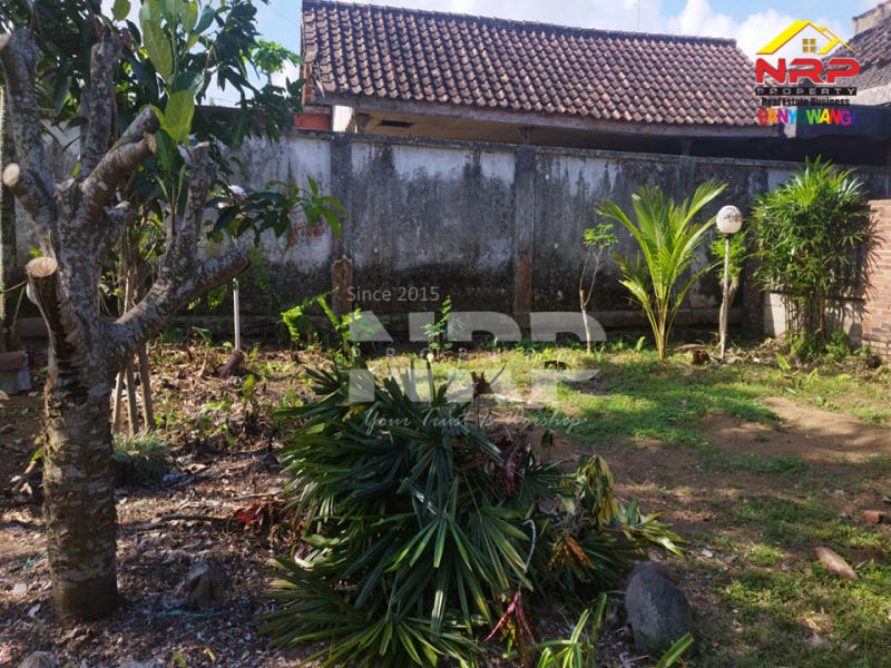 Dijual Tanah Bonus Bangunan di Sempu - Banyuwangi  Dijual Tanah Bonus Bangunan di Sempu - Banyuwangi  Dijual Tanah Bonus Bangunan di Sempu - Banyuwangi&nbsp;
Dekat dengan Stasiun Kalistail, Dekat dengan pasar Desa Sempu, Dekat dengan Balai Desa NRP BANYUWANGI