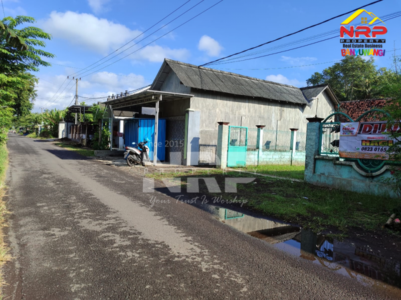Dijual Tanah Bonus Bangunan di Tembokrejo - Muncar  Dijual Tanah Bonus Bangunan di Tembokrejo - Muncar  Dijual Tanah Bonus Bangunan di Tembokrejo - Muncar&nbsp;
Lokasi pinggir jln aspal desa, Dekat dengan Pantai Gumuk Kantong

Luas Tanah : 1.575 M2
Luas NRP BANYUWANGI