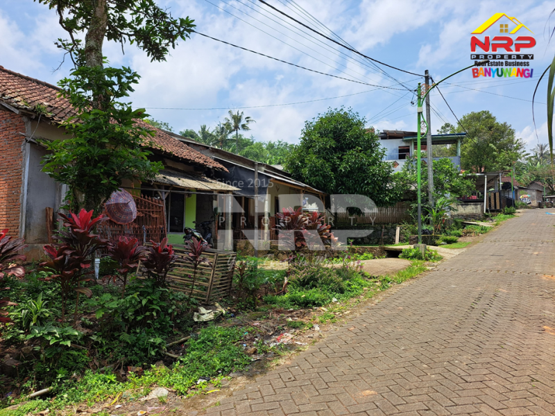 Dijual Tanah Bonus Bangunan di tepi Jl. Desa Menuju Ijen Resort - Banyuwangi  Dijual Tanah Bonus Bangunan di tepi Jl. Desa Menuju Ijen Resort - Banyuwangi  Dijual Tanah Bonus Bangunan di tepi Jl. Desa Menuju Ijen Resort - Banyuwangi&nbsp;
Akses sangat mudah, jalan paving&nbsp;

Luas Tanah : +/- 220 NRP BANYUWANGI
