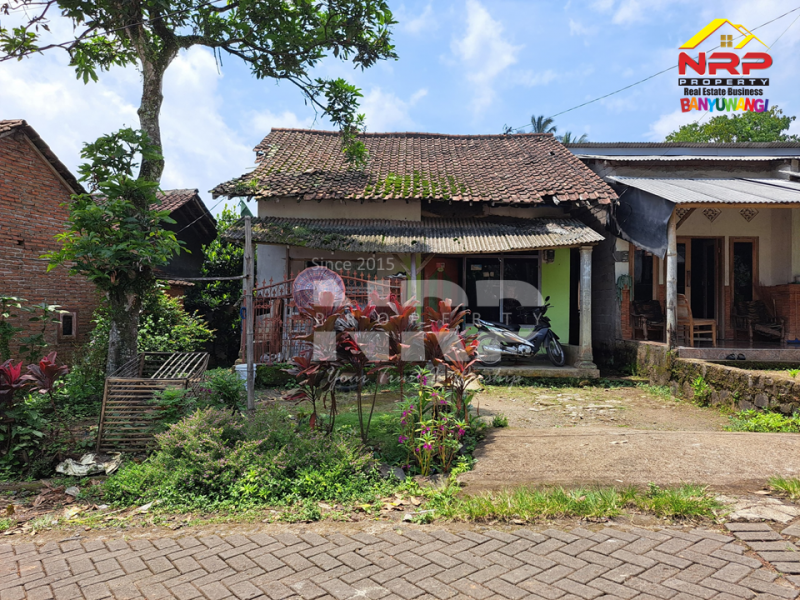 Dijual Tanah Bonus Bangunan di tepi Jl. Desa Menuju Ijen Resort - Banyuwangi  Dijual Tanah Bonus Bangunan di tepi Jl. Desa Menuju Ijen Resort - Banyuwangi  Dijual Tanah Bonus Bangunan di tepi Jl. Desa Menuju Ijen Resort - Banyuwangi&nbsp;
Akses sangat mudah, jalan paving&nbsp;

Luas Tanah : +/- 220 NRP BANYUWANGI