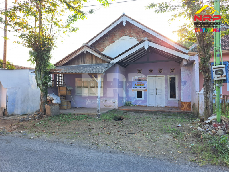 Dijual Tanah Bonus Bangunan di tepi Jl. KH. Abdullah Hasbullah, Singolatren - Banyuwangi  Dijual Tanah Bonus Bangunan di tepi Jl. KH. Abdullah Hasbullah, Singolatren - Banyuwangi  Dijual Tanah Bonus Bangunan di tepi Jl. KH. Abdullah Hasbullah, Singolatren - Banyuwangi&nbsp;
Hunian di Pedesaan dengan lingkungan yang masih asri dan NRP BANYUWANGI
