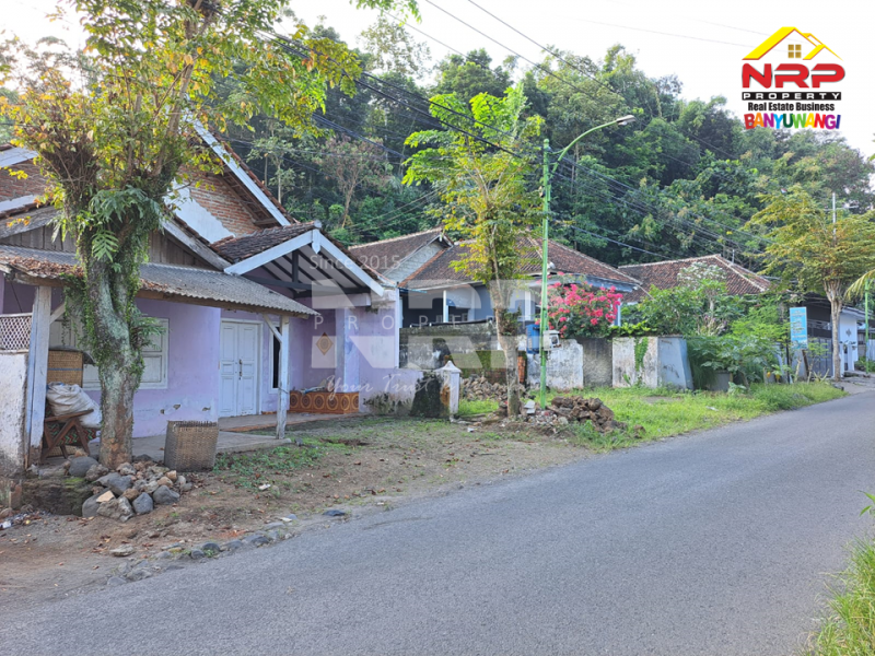 Dijual Tanah Bonus Bangunan di tepi Jl. KH. Abdullah Hasbullah, Singolatren - Banyuwangi  Dijual Tanah Bonus Bangunan di tepi Jl. KH. Abdullah Hasbullah, Singolatren - Banyuwangi  Dijual Tanah Bonus Bangunan di tepi Jl. KH. Abdullah Hasbullah, Singolatren - Banyuwangi&nbsp;
Hunian di Pedesaan dengan lingkungan yang masih asri dan NRP BANYUWANGI