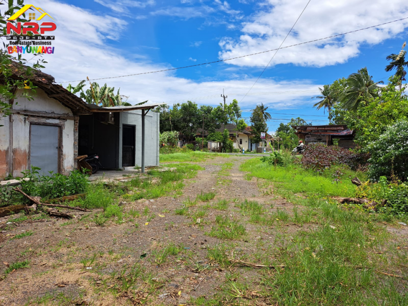 Dijual Tanah  Bonus Bangunan di Tepi Jl. Pesanggaran - Banyuwangi  Dijual Tanah  Bonus Bangunan di Tepi Jl. Pesanggaran - Banyuwangi  Dijual Tanah&nbsp; Bonus Bangunan di Tepi Jl. Pesanggaran - Banyuwangi&nbsp;
Akses Utama Menuju Kawasan Wisata Pulau Merah dan Teluk Hijau Banyuwangi. Dekat NRP BANYUWANGI