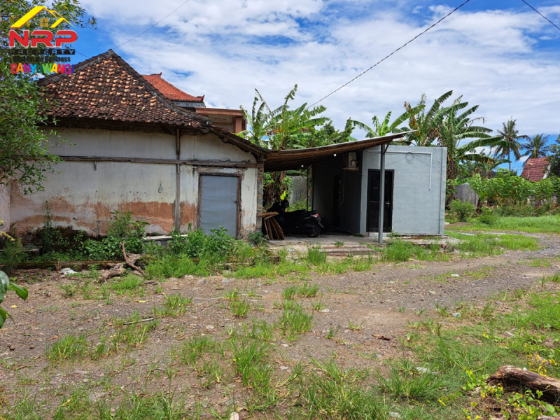 Dijual Tanah  Bonus Bangunan di Tepi Jl. Pesanggaran - Banyuwangi  Dijual Tanah  Bonus Bangunan di Tepi Jl. Pesanggaran - Banyuwangi  Dijual Tanah&nbsp; Bonus Bangunan di Tepi Jl. Pesanggaran - Banyuwangi&nbsp;
Akses Utama Menuju Kawasan Wisata Pulau Merah dan Teluk Hijau Banyuwangi. Dekat NRP BANYUWANGI