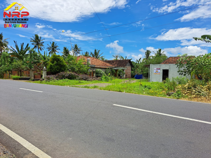 Dijual Tanah  Bonus Bangunan di Tepi Jl. Pesanggaran - Banyuwangi  Dijual Tanah  Bonus Bangunan di Tepi Jl. Pesanggaran - Banyuwangi  Dijual Tanah&nbsp; Bonus Bangunan di Tepi Jl. Pesanggaran - Banyuwangi&nbsp;
Akses Utama Menuju Kawasan Wisata Pulau Merah dan Teluk Hijau Banyuwangi. Dekat NRP BANYUWANGI