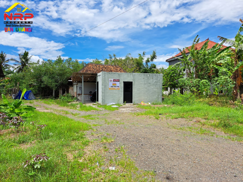 Dijual Tanah  Bonus Bangunan di Tepi Jl. Pesanggaran - Banyuwangi  Dijual Tanah  Bonus Bangunan di Tepi Jl. Pesanggaran - Banyuwangi  Dijual Tanah&nbsp; Bonus Bangunan di Tepi Jl. Pesanggaran - Banyuwangi&nbsp;
Akses Utama Menuju Kawasan Wisata Pulau Merah dan Teluk Hijau Banyuwangi. Dekat NRP BANYUWANGI