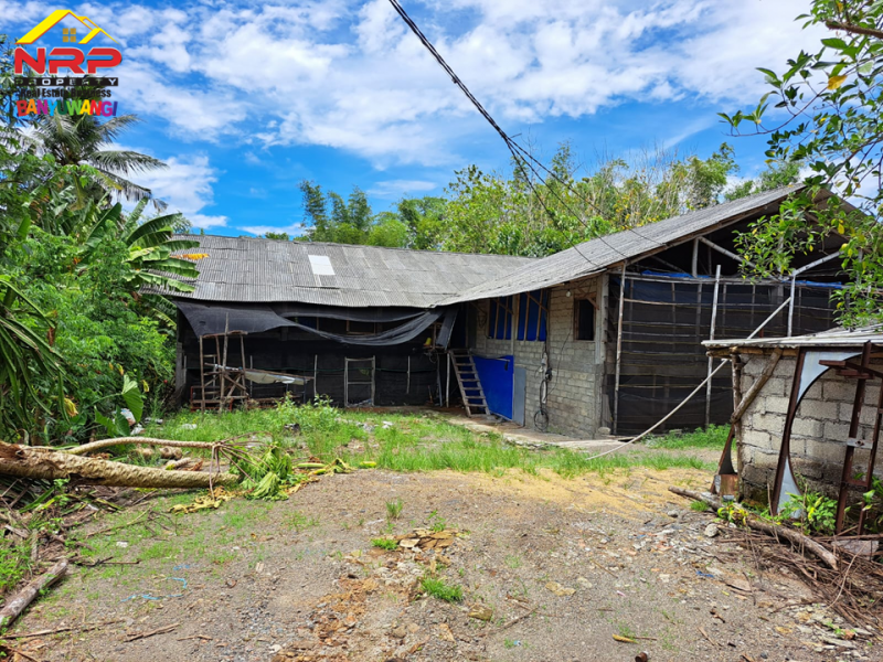 Dijual Tanah  Bonus Bangunan di Tepi Jl. Pesanggaran - Banyuwangi  Dijual Tanah  Bonus Bangunan di Tepi Jl. Pesanggaran - Banyuwangi  Dijual Tanah&nbsp; Bonus Bangunan di Tepi Jl. Pesanggaran - Banyuwangi&nbsp;
Akses Utama Menuju Kawasan Wisata Pulau Merah dan Teluk Hijau Banyuwangi. Dekat NRP BANYUWANGI