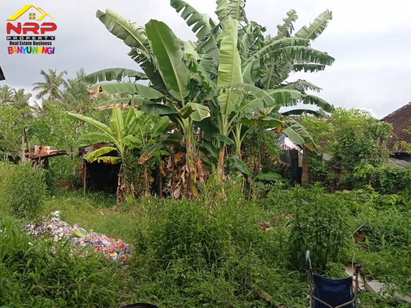 Dijual Tanah Bonus Bangunan Gudang 50 Meter dari JL. S Parman  Dijual Tanah Bonus Bangunan Gudang 50 Meter dari JL. S Parman  Dijual Tanah Bonus Bangunan Gudang 50 Meter dari JL. S Parman&nbsp;
Cocok untuk Gudang, Ekspedisi, Pabrik dll&nbsp;
Akses Jalan Aspal Roda NRP BANYUWANGI
