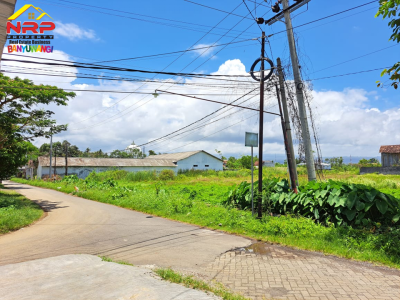 Dijual Tanah Bonus Bangunan Gudang dan Rumah Sarang Sriti di Jln. Ikan Arwana Banyuwangi  Dijual Tanah Bonus Bangunan Gudang dan Rumah Sarang Sriti di Jln. Ikan Arwana Banyuwangi  Dijual Tanah Bonus Bangunan Gudang dan Rumah Sarang Sriti di Jln. Ikan Arwana Banyuwangi
Cocok untuk perumahan, gudang, sarana pendidikan, kampus dll.
Berasa NRP BANYUWANGI