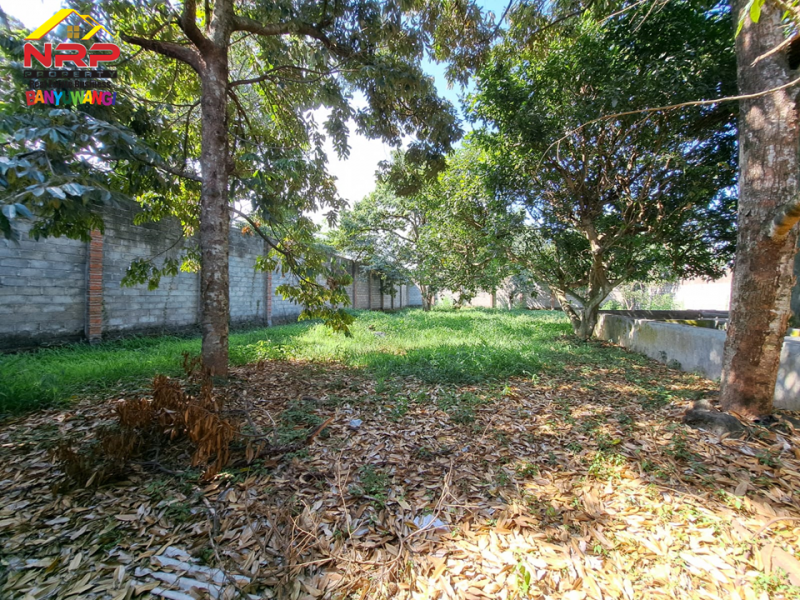 Dijual Tanah Bonus Bangunan Hunian dan Rumah Walet di Jl. Provinsi, Rogojampi  Dijual Tanah Bonus Bangunan Hunian dan Rumah Walet di Jl. Provinsi, Rogojampi  Dijual Tanah Bonus Bangunan Hunian dan Rumah Walet di Jl. Provinsi, Rogojampi&nbsp;
Lokasi Sangat Cocok Untuk Investasi, dibangun Gudang, Industri, Pabrik NRP BANYUWANGI