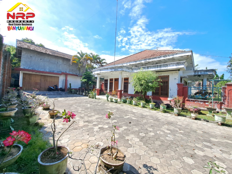 Dijual Tanah Bonus Bangunan Hunian dan Rumah Walet di Jl. Provinsi, Rogojampi  Dijual Tanah Bonus Bangunan Hunian dan Rumah Walet di Jl. Provinsi, Rogojampi  Dijual Tanah Bonus Bangunan Hunian dan Rumah Walet di Jl. Provinsi, Rogojampi&nbsp;
Lokasi Sangat Cocok Untuk Investasi, dibangun Gudang, Industri, Pabrik NRP BANYUWANGI
