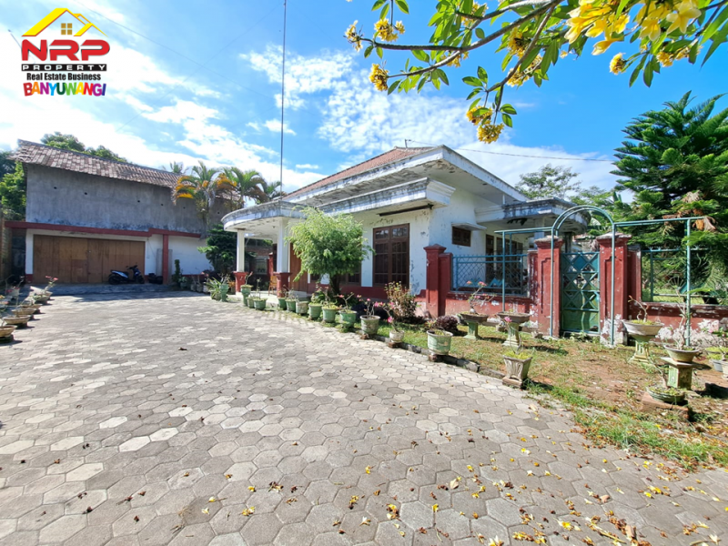 Dijual Tanah Bonus Bangunan Hunian dan Rumah Walet di Jl. Provinsi, Rogojampi  Dijual Tanah Bonus Bangunan Hunian dan Rumah Walet di Jl. Provinsi, Rogojampi  Dijual Tanah Bonus Bangunan Hunian dan Rumah Walet di Jl. Provinsi, Rogojampi&nbsp;
Lokasi Sangat Cocok Untuk Investasi, dibangun Gudang, Industri, Pabrik NRP BANYUWANGI