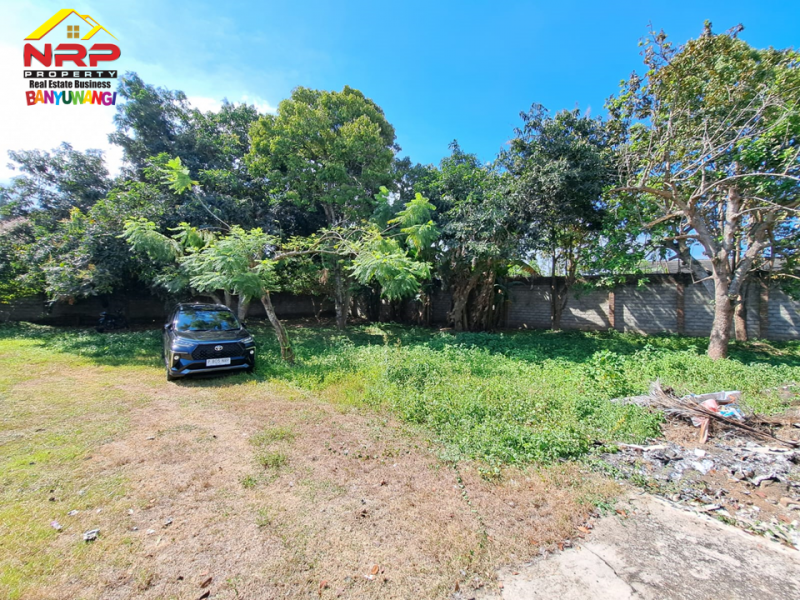 Dijual Tanah Bonus Bangunan Hunian dan Rumah Walet di Jl. Provinsi, Rogojampi  Dijual Tanah Bonus Bangunan Hunian dan Rumah Walet di Jl. Provinsi, Rogojampi  Dijual Tanah Bonus Bangunan Hunian dan Rumah Walet di Jl. Provinsi, Rogojampi&nbsp;
Lokasi Sangat Cocok Untuk Investasi, dibangun Gudang, Industri, Pabrik NRP BANYUWANGI