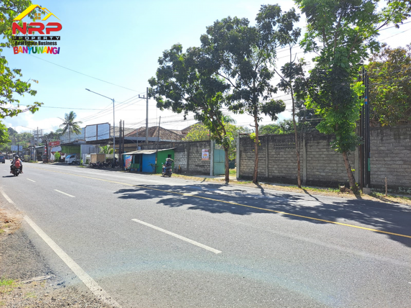Dijual Tanah Bonus Bangunan Hunian dan Rumah Walet di Jl. Provinsi, Rogojampi  Dijual Tanah Bonus Bangunan Hunian dan Rumah Walet di Jl. Provinsi, Rogojampi  Dijual Tanah Bonus Bangunan Hunian dan Rumah Walet di Jl. Provinsi, Rogojampi&nbsp;
Lokasi Sangat Cocok Untuk Investasi, dibangun Gudang, Industri, Pabrik NRP BANYUWANGI