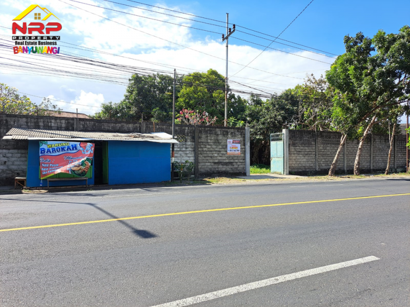 Dijual Tanah Bonus Bangunan Hunian dan Rumah Walet di Jl. Provinsi, Rogojampi  Dijual Tanah Bonus Bangunan Hunian dan Rumah Walet di Jl. Provinsi, Rogojampi  Dijual Tanah Bonus Bangunan Hunian dan Rumah Walet di Jl. Provinsi, Rogojampi&nbsp;
Lokasi Sangat Cocok Untuk Investasi, dibangun Gudang, Industri, Pabrik NRP BANYUWANGI