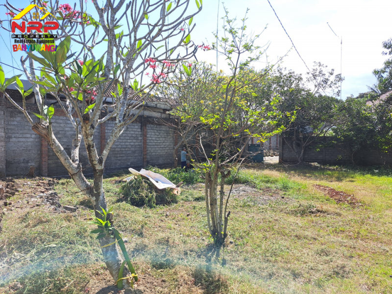 Dijual Tanah Bonus Bangunan Hunian dan Rumah Walet di Jl. Provinsi, Rogojampi  Dijual Tanah Bonus Bangunan Hunian dan Rumah Walet di Jl. Provinsi, Rogojampi  Dijual Tanah Bonus Bangunan Hunian dan Rumah Walet di Jl. Provinsi, Rogojampi&nbsp;
Lokasi Sangat Cocok Untuk Investasi, dibangun Gudang, Industri, Pabrik NRP BANYUWANGI
