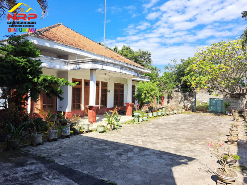 Dijual Tanah Bonus Bangunan Hunian dan Rumah Walet di Jl. Provinsi, Rogojampi  Dijual Tanah Bonus Bangunan Hunian dan Rumah Walet di Jl. Provinsi, Rogojampi  Dijual Tanah Bonus Bangunan Hunian dan Rumah Walet di Jl. Provinsi, Rogojampi&nbsp;
Lokasi Sangat Cocok Untuk Investasi, dibangun Gudang, Industri, Pabrik NRP BANYUWANGI