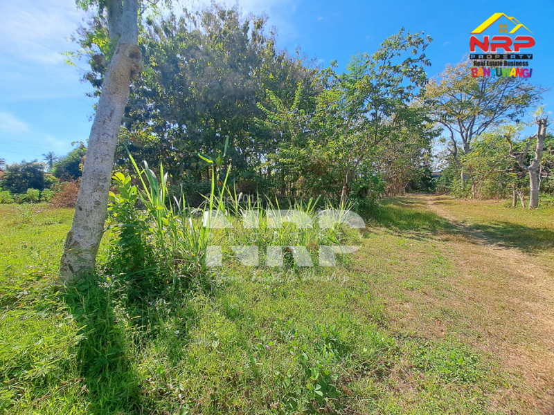 Dijual tanah bonus bangunan klasik di Tukangkayu - Banyuwangi kota Dijual tanah bonus bangunan klasik di Tukangkayu - Banyuwangi kota Dijual tanah bonus bangunan klasik di Tukangkayu - Banyuwangi kota&nbsp;
Dekat dengan kawasan bisnis dan kantor pemerintahan Banyuwangi&nbsp;
Cocok untuk NRP BANYUWANGI