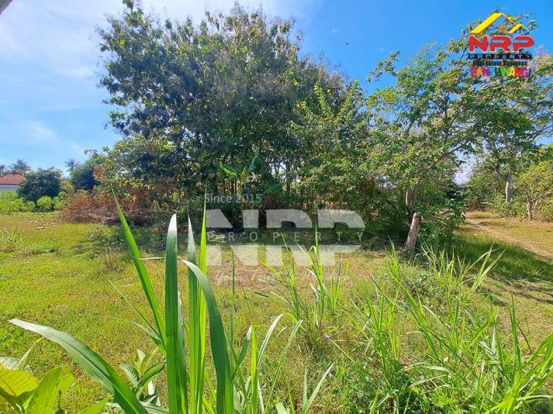 Dijual tanah bonus bangunan klasik di Tukangkayu - Banyuwangi kota Dijual tanah bonus bangunan klasik di Tukangkayu - Banyuwangi kota Dijual tanah bonus bangunan klasik di Tukangkayu - Banyuwangi kota&nbsp;
Dekat dengan kawasan bisnis dan kantor pemerintahan Banyuwangi&nbsp;
Cocok untuk NRP BANYUWANGI