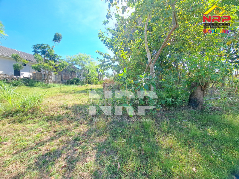 Dijual tanah bonus bangunan klasik di Tukangkayu - Banyuwangi kota Dijual tanah bonus bangunan klasik di Tukangkayu - Banyuwangi kota Dijual tanah bonus bangunan klasik di Tukangkayu - Banyuwangi kota&nbsp;
Dekat dengan kawasan bisnis dan kantor pemerintahan Banyuwangi&nbsp;
Cocok untuk NRP BANYUWANGI