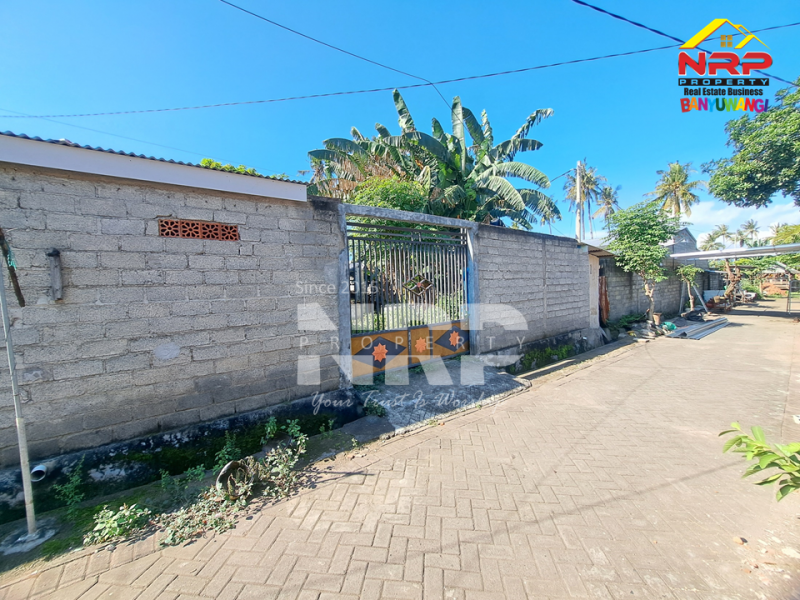 Dijual tanah bonus bangunan masih layak huni di Klatak - Banyuwangi  Dijual tanah bonus bangunan masih layak huni di Klatak - Banyuwangi  Dijual tanah bonus bangunan masih layak huni di Klatak - Banyuwangi&nbsp;
Tanah luas, dekat kawasan vila dan perhotelan, akses jalan perkampungan NRP BANYUWANGI