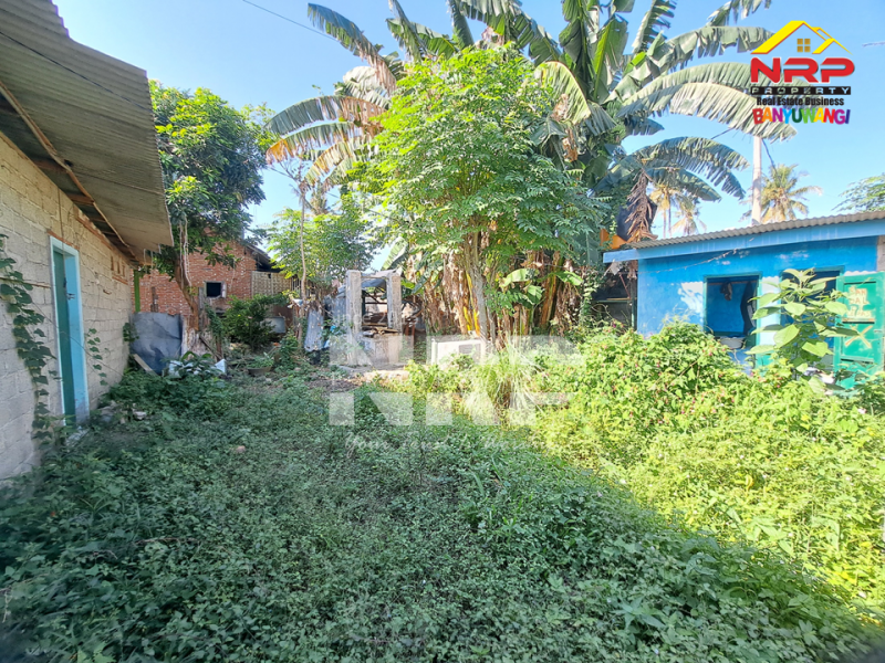 Dijual tanah bonus bangunan masih layak huni di Klatak - Banyuwangi  Dijual tanah bonus bangunan masih layak huni di Klatak - Banyuwangi  Dijual tanah bonus bangunan masih layak huni di Klatak - Banyuwangi&nbsp;
Tanah luas, dekat kawasan vila dan perhotelan, akses jalan perkampungan NRP BANYUWANGI