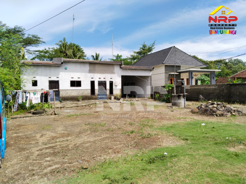 Dijual Tanah Bonus Bangunan Murah di Bangorejo - Banyuwangi  Dijual Tanah Bonus Bangunan Murah di Bangorejo - Banyuwangi  Dijual Tanah Bonus Bangunan Murah di Bangorejo - Banyuwangi&nbsp;
Dekat dengan Fasilitas Pendidikan (SMP PGRI 1 Bangorejo, SMA 1 Bangorejo, SMPN 1 NRP BANYUWANGI