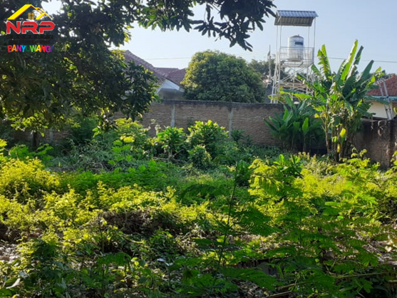 Dijual Tanah Bonus Bangunan Prospek 30 Meter dari Jl. Adi Sucipto - Banyuwangi  Dijual Tanah Bonus Bangunan Prospek 30 Meter dari Jl. Adi Sucipto - Banyuwangi  Dijual Tanah Bonus Bangunan Prospek 30 Meter dari Jl. Adi Sucipto - Banyuwangi&nbsp;
Lokasi sangat strategis di Depan MAN 1 Banyuwangi&nbsp;
Terletak NRP BANYUWANGI
