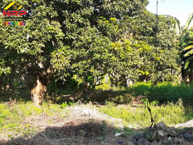 Dijual Tanah Bonus Bangunan Prospek 30 Meter dari Jl. Adi Sucipto - Banyuwangi  Dijual Tanah Bonus Bangunan Prospek 30 Meter dari Jl. Adi Sucipto - Banyuwangi  Dijual Tanah Bonus Bangunan Prospek 30 Meter dari Jl. Adi Sucipto - Banyuwangi&nbsp;
Lokasi sangat strategis di Depan MAN 1 Banyuwangi&nbsp;
Terletak NRP BANYUWANGI