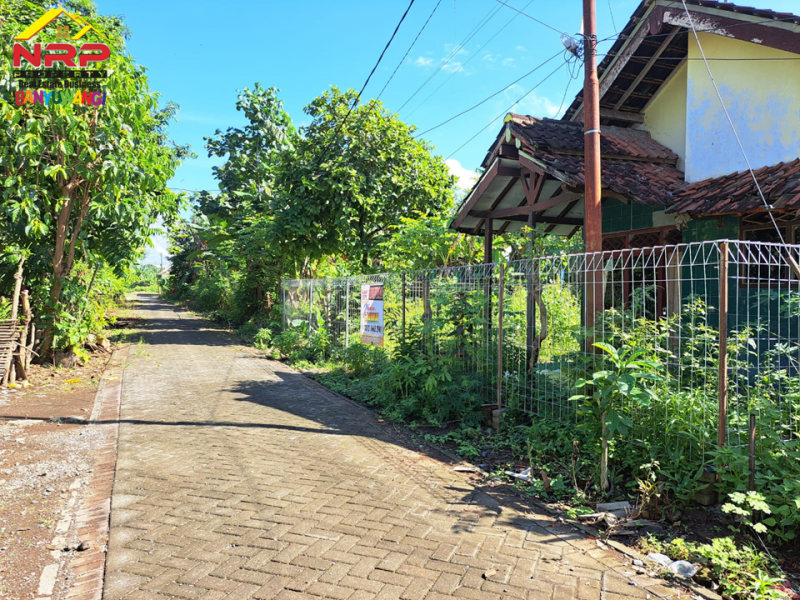 Dijual Tanah Bonus Bangunan Rumah 300 Meter dari Jl. S Parman Banyuwangi  Dijual Tanah Bonus Bangunan Rumah 300 Meter dari Jl. S Parman Banyuwangi  Dijual Tanah Bonus Bangunan Rumah 300 Meter dari Jl. S Parman Banyuwangi&nbsp;
Bersebelahan dengan Gardenia Estate Banyuwangi.&nbsp;
Cocok untuk hunian, NRP BANYUWANGI